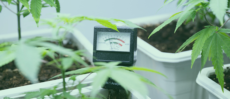 Top 15 growing equipment must-haves for weed growers